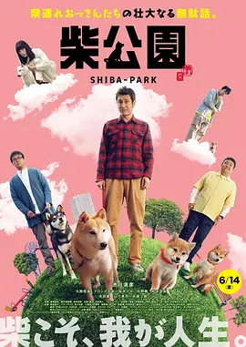 五月国产综合视频在线观看