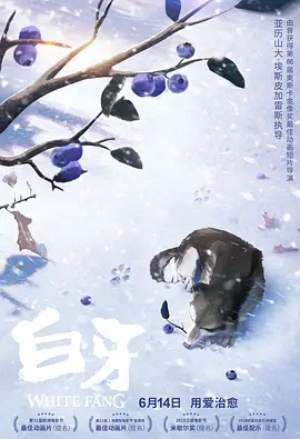 午夜免费福利