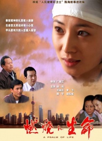狗的风格和交流
