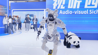 国产精品一级