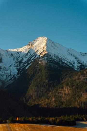 海外華人追劇聽歌不再卡頓！2025最新數據顯示37%用戶成功突破地區限制